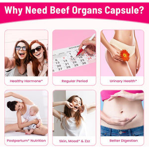 12-In-1 Beef Organ Supplement for Women - Beef Liver, Uterus, Kidney, Heart, Pancreas, 5 Vitamins & 2 Herbs, Hormone Balance, Menstruation, Energy, Immune - 100% Grass Fed, Pasture Raise - 120 Caps