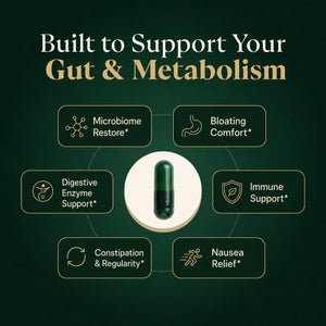 GLP-1 Support Supplement for Nausea, Bloating & Gut Health – Synbiotic Pre, Pro & Postbiotic for Women & Men, GLP-1 Users – Pharmacist Formulated, 20-In-1 (60 Capsules)