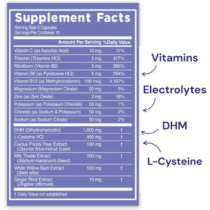 Blowfish Wingman | Supplement with DHM + L-Cysteine + Electrolytes | Feel Better after Drinking | Pre-Alcohol Liver Support & Hydration