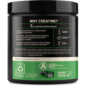 Optimum Nutrition Micronized Creatine Monohydrate Powder, Unflavored, 60 Servings, 300 Grams (Packaging May Vary)