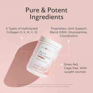 Alaya Multi Collagen Powder - Type I, II, III, V, X Hydrolyzed Collagen Peptides Protein Powder Supplement with MSM + GC (Chocolate)