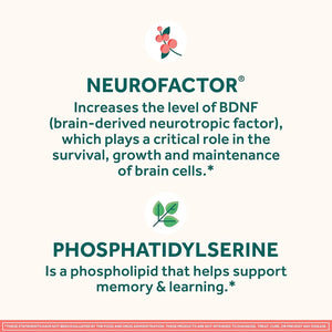 NEURIVA Original Brain Supplements for Memory and Focus, Clinically Tested Nootropics Phosphatidylserine and Neurofactor, Caffeine Free, 50Ct Strawberry Gummies