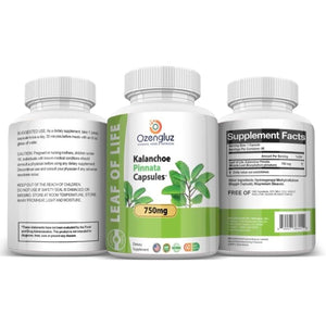 Kalanchoe Pinnata-Leaf of Life (Bryophyllum Pinnatum) 60 Cápsulas De 750Mg Bottle.