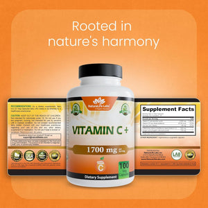 Naturalife Labs Vitamin C with Vitamin D3, Zinc, Elderberry & Ginger Root – 1,700 Mg per Serving – 100 Capsules, Vegan, Non-Gmo, Gluten Free