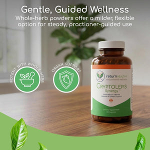 Cryptolepis Synergy, Immune Support Vitamins, Immune System Booster for Adults, Liver, Lymphatic, & Immune Support Supplement, Supports Lyme & Natural Parasite Defense, 120 Capsules