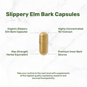DEAL SUPPLEMENT Slippery Elm Capsules – 300 Pills, Made with Organic Inner Bark Powder Extract – Natural Herb for Soothing Throat & Digestive Support – Non-Gmo
