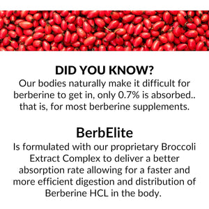 Mara Labs Berbelite | 350Mg Berberine HCL & Broccoli Seed Complex for Increase Bioavailability | 30 Vegan Capsules