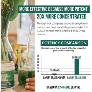 Organic Barley Grass Juice Powder - Grown in Volcanic Soil of Utah - Raw & Bioactive Form, Cold-Pressed Then CO2 Dried – Gluten Free, GMO Free, Vegan - Complements Wheatgrass Juice Powder - 5.3 Oz