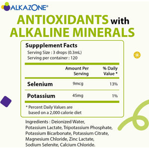 ALKAZONE Balance Your Ph Antioxidants Alkaline Mineral Booster & Supplements (2 Packs)