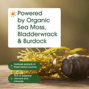 Naturebell 3-In-1 Sea Moss - 240 Vegetarian Capsules - Sea Moss Complex with Organic Bladderwrack & Organic Burdock Root - Healthy Digestion, Vitality & Immune Support*