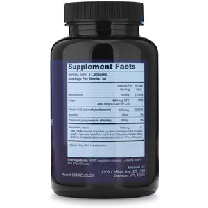 Cloud9 Daily Restore – Liver Detox & Recovery Supplement with Milk Thistle, NAC & B-Vitamins – Energy, Focus & Nutrient Support after Drinking – 120 Capsules – Made in USA