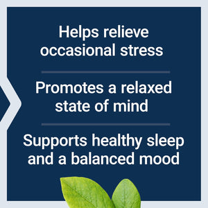 Life Extension GABA, Stress Support, GABA Supplement, Mood Support, Sleep, Relaxation, Gluten-Free, Non-Gmo, Vegetarian, 60 Capsules