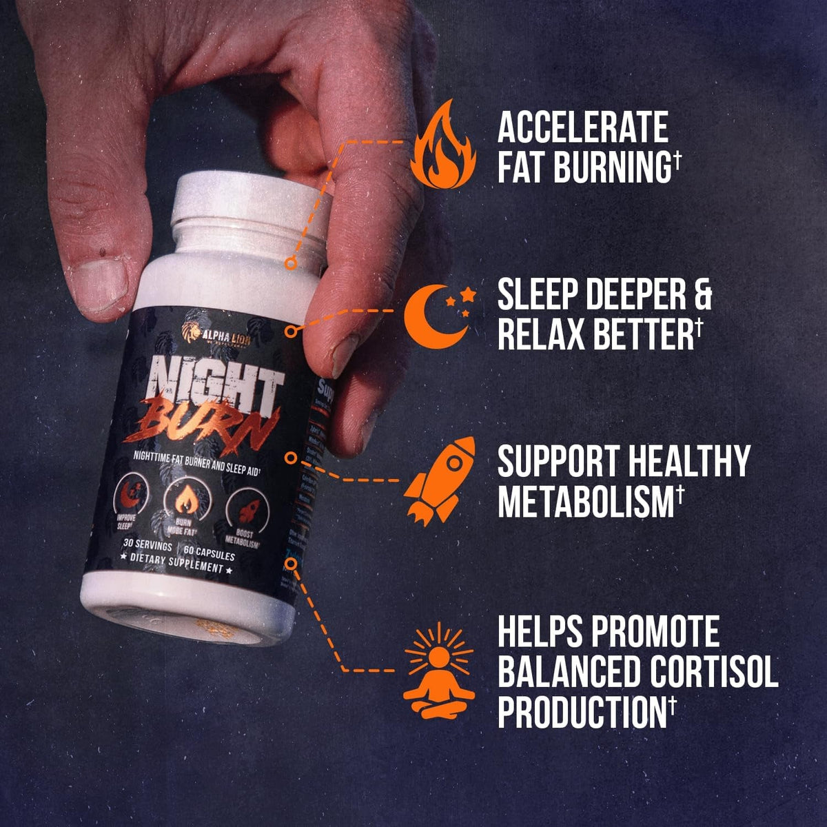 ALPHA LION Night Burn, Metabolism Booster for Weight Loss, Less Body Fat, More Muscle, Promotes Lean Body, Calorie Burning Supplement, Relax Better, Promote Healthy Cortisol (60 Capsules)