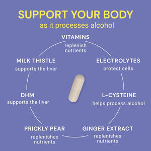 Blowfish Wingman | Supplement with DHM + L-Cysteine + Electrolytes | Feel Better after Drinking | Pre-Alcohol Liver Support & Hydration
