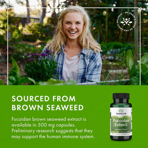 Swanson Maximum Strength Fucoidan Extract Immune Support Supplement for Adults Seeking Natural Immune Defense from Brown Seaweed - 500 Mg (60 Vegan Capsules)