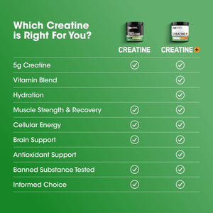 Optimum Nutrition Micronized Creatine Monohydrate Powder, Unflavored, 60 Servings, 300 Grams (Packaging May Vary)