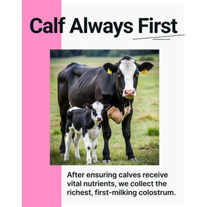 Sonohealth Cowabunga Colostrum - Premium, Pure & Unaltered Colostrum Powder Supplement - for Immune Support, Gut Health, Muscle Recovery & Wellness - Kosher & Halal Certified Calostro
