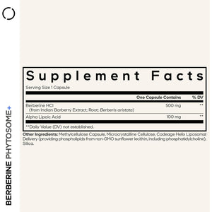 Codeage Berberine Phytosome Supplement - Berberine HCL, Alpha Lipoic Acid, Phospholipid Complex - 2-Month Supply - Berberine HCL - Berberine Hydrochloride - Gluten-Free, Non-Gmo - 60 Capsules