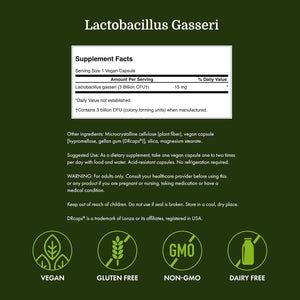 Swanson Lactobacillus Gasseri Probiotic for Adults Seeking Digestive and Metabolic Support with 3 Billion CFU - Acid-Resistant, No Refrigeration (60 Vegan Capsules)