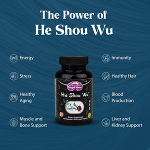 Dragon Herbs He Shou Wu | Prepared He Shou Wu Supplement to Support Energy, Mood, Immune Support, Healthy Aging, Hair | All Natural Ingredients, Non-Gmo (100 Capsules, 500 Mg per Capsule