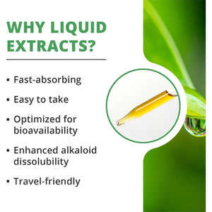 Nutramedix Parsley Herbal Supplement - Parsley Leaf and Stem Extract - Antioxidant Support, Body Detox & Cleanse Support - Liquid Herbal Supplements for Immune Health (1Oz / 30Ml)