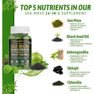 16 in 1 Sea Moss Gummies — Us-Made, 3X Potent Seamoss Gummies for Men and Women with Black Seed Oil, Ashwagandha, Burdock, and More — Supports Immunity, Energy & Vitality (30-Day Supply, 60 Gummies)