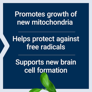 Life Extension Mitochondrial Basics with PQQ, L-Taurine, R-Lipoic Acid, Foundational Supplement for Cellular Energy Production, Brain and Heart Health, Gluten-Free, Non-Gmo, Vegetarian, 30 Capsules