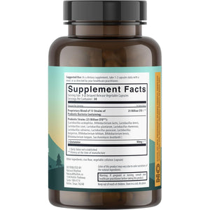 Natural Rhythm Digestive Calm Probiotic + L-Glutamine – 25 Billion CFU, 13 Strains, Digestive & Immune Support Supplement, Vegetarian Capsules (60 Count)