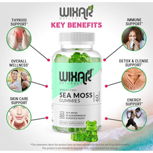 WIXAR NATURALS Sea Moss Gummies - Natural Irish Sea Moss and Bladderwrack with Burdock Gummy - 60 Gummies - Vegan - Healthy Immune, Gut & Overall Wellness Support - Herbal Alkaline Supplements