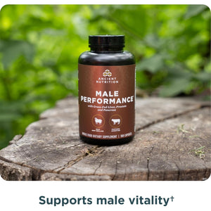 Ancient Nutrition Organ Supplements for Men, Grass-Fed and Wild Organ Complex Capsules, Liver, Prostate, Pancreas Supports Male Performance, Healthy Aging, 180 Ct