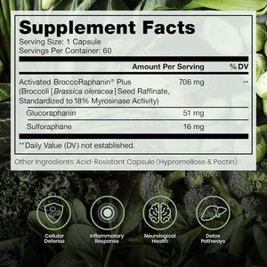 Pure Therapro Rx Extra Strength Sulforaphane Supplement from Broccoli Seed Extract | Made in USA | ONE Capsule per Serving (Other Brands Are 2 Caps!) | 3Rd Party Tested | Oncoprotect ES