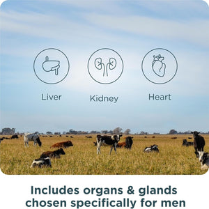 Ancient Nutrition Organ Supplements for Men, Grass-Fed and Wild Organ Complex Capsules, Liver, Prostate, Pancreas Supports Male Performance, Healthy Aging, 180 Ct
