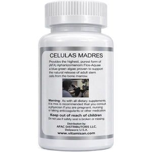 Celulas Madres Stem Cell Enhancer