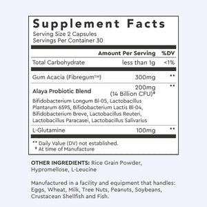 Alaya Naturals Advanced Synbiotic - Probiotic + Prebiotic - 14 Billion CFU Delayed Release Probiotic Supplement with Prebiotics from Sunfiber®, and L-Glutamine for Gut Lining Integrity - 60 Capsules