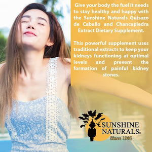 Sunshine Naturals Chanca Piedra with Guisazo De Caballo, Traditional Stone Breaker Herb, Kidney and Urinary Tract Support Supplement, 1000 Mg Proprietary Blend, 90 Capsules