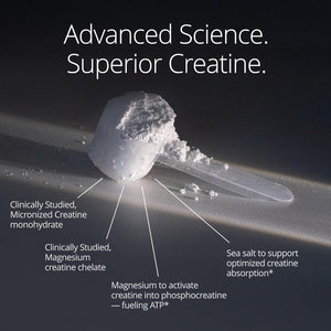 Qualia Creatine | Advanced Creatine Complex | 2 Sources + Magnesium | Optimized Absorption | Muscle Performance, Brain Function, & Healthy Aging (30 Servings)