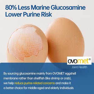 5-Day Fast-Acting Glucosamine Chondroitin MSM - Joint Health Supplement with OVOMET Eggshell Membrane & Boswellia, Support Joint Comfort, Cartilage, Strength & Flexibility - Made in Germany, 120Ct