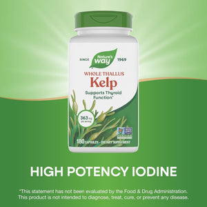Nature'S Way Kelp - Kelp Supplement for Thyroid Function Support* - Botanical Ingredient - Plant-Derived Capsule - Plant-Sourced Iodine - Vegan, Gluten-Free & Dairy-Free - 180 Count (180 Servings)