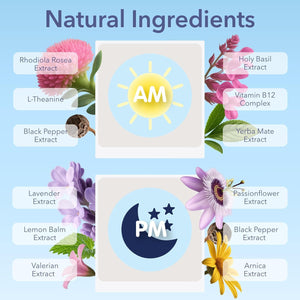 Laki Naturals Jet Lag AM & PM Travel Patches (1 Count, Pack of 8) – Natural Day & Night Support for Travelers – Energy, Focus & Restful Sleep – with B12, Valerian, Lavender & More