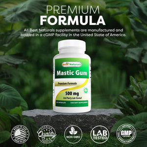 Best Naturals Mastic Gum 500 Mg 60 Capsules
