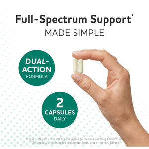 Prebiotics and Probiotics | 50 Billion CFU, 16 Probiotic Strains & Inulin Prebiotic Fiber | Delayed Release Capsules | Gut Health Support | Prebiotics and Probiotics for Women & Men | Non-Gmo | 60 Ct
