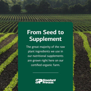 Standard Process Betafood - Supports Digestion & Intestinal Function with Beets - Aids a Healthy Heart & Liver Health - Gluten-Free, Non-Dairy & Non-Soy - 90 Tablets (90 Servings)