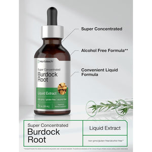 Horbäach Burdock Root Tincture | 2 Fl Oz | Super Concentrated Herb Extract | Vegetarian, Non-Gmo, Glutren Free, Alcohol Free