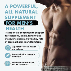 Primal Being Grassfed Beef Testes Capsules – Nutrient-Dense Beef Organ Supplement for Men, New Zealand Sourced, 120 Capsules