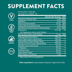 Wellpath Zen Stress Relief Supplement + Mood Support | Calm, Stress & Energy Support | Ashwagandha Root, Rhodiola Rosea, L-Theanine, Lemon Balm | Herbal Capsules, 60 Ct