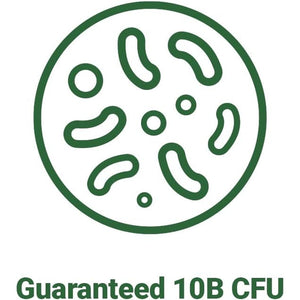 Bnrthin S30, Lactobacillus Gasseri BNR17, 10 Billion CFU Guaranteed, 30Capsules
