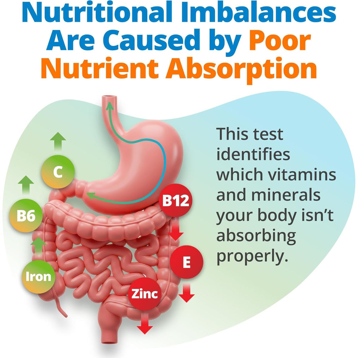 5Strands Nutrition Test, 112 Vitamins, Minerals, Amino Acids Tested, Identify Nutrient Absorption Issues, Holistic at Home Imbalance Testing, Results in 4 Days