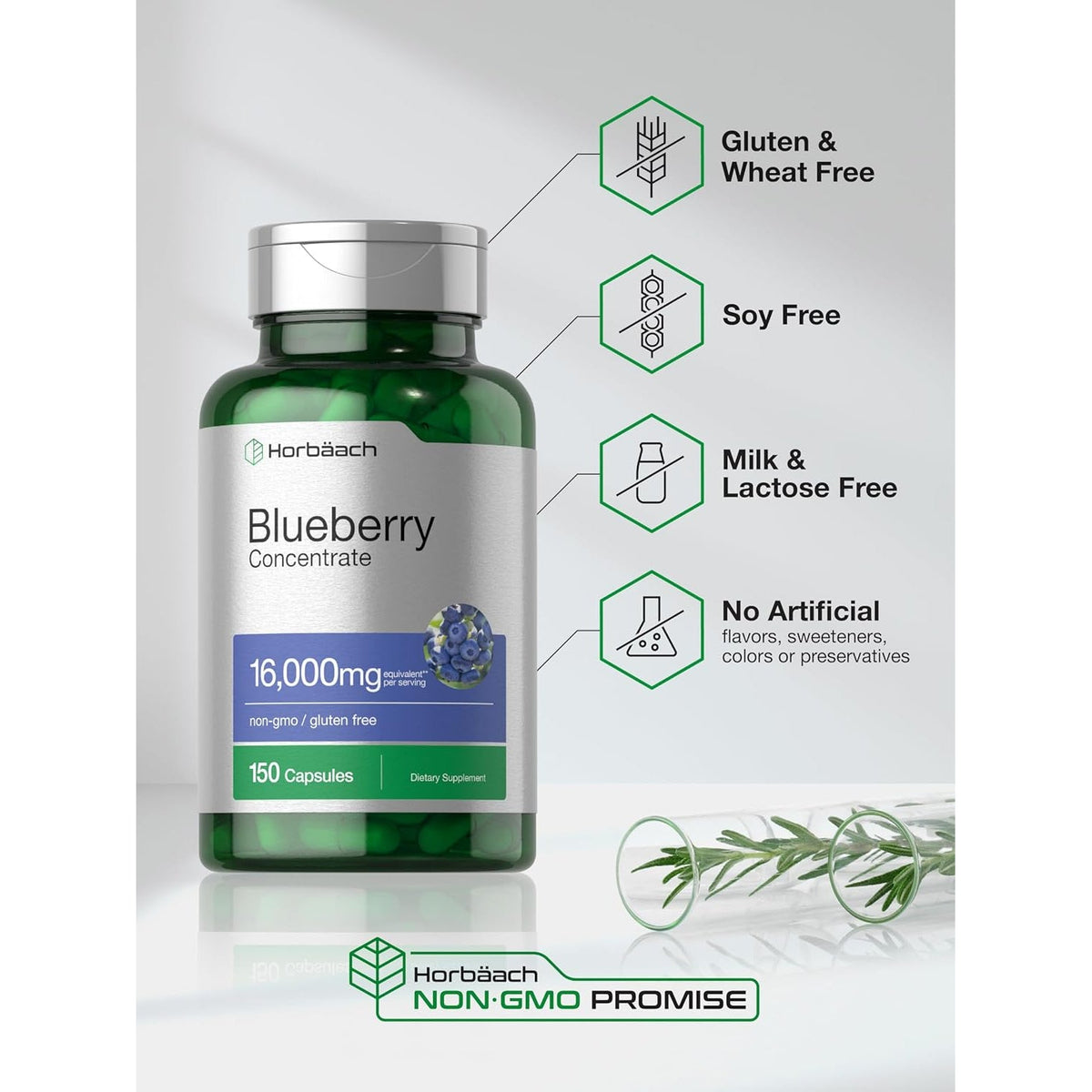 Horbäach Blueberry Extract Supplement | 150 Capsules | Blueberry Concentrate | Non-Gmo & Gluten Free Formula
