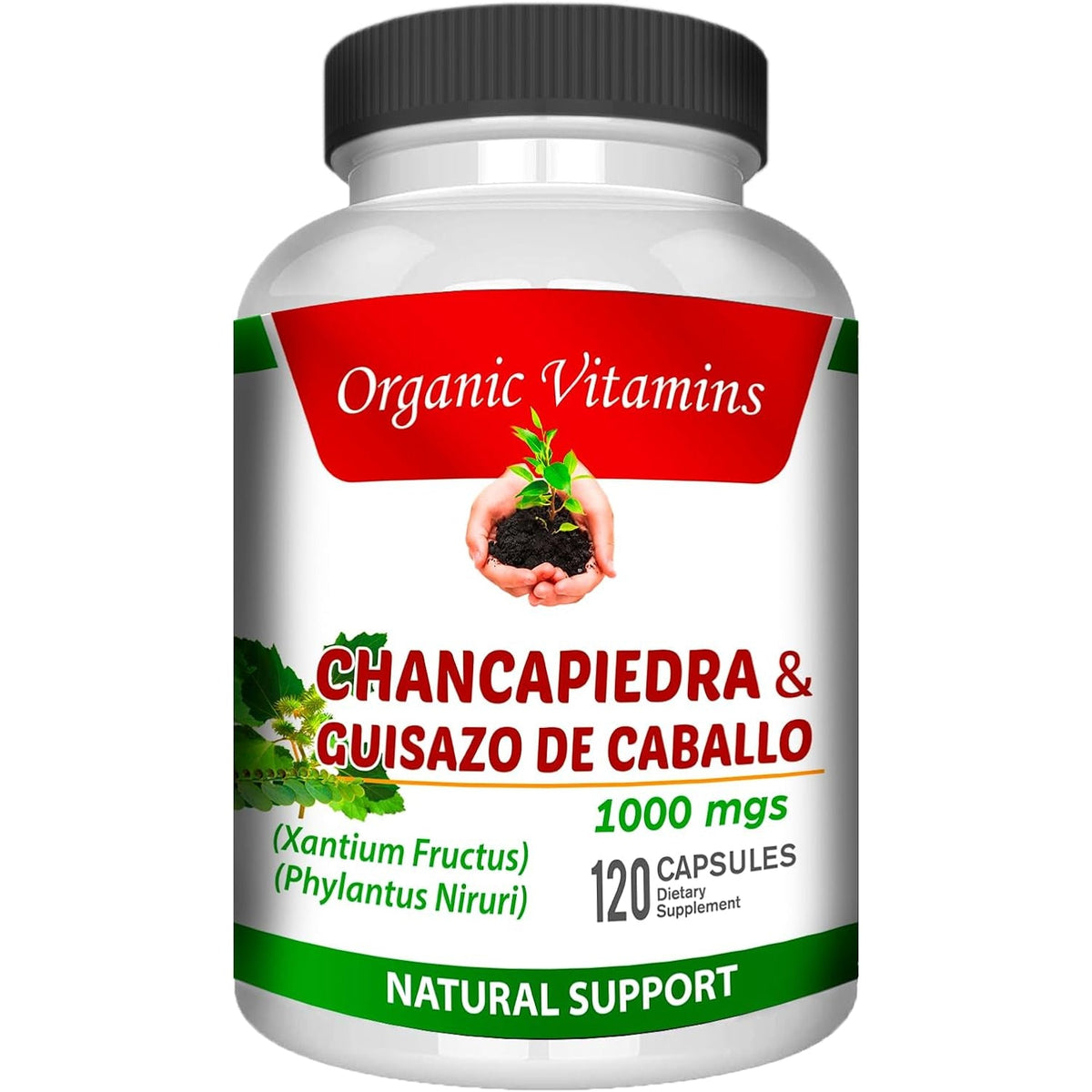 Guisazo De Caballo and Chancapiedra by Life Naturals 120 Caps Chanca Piedra Pure
