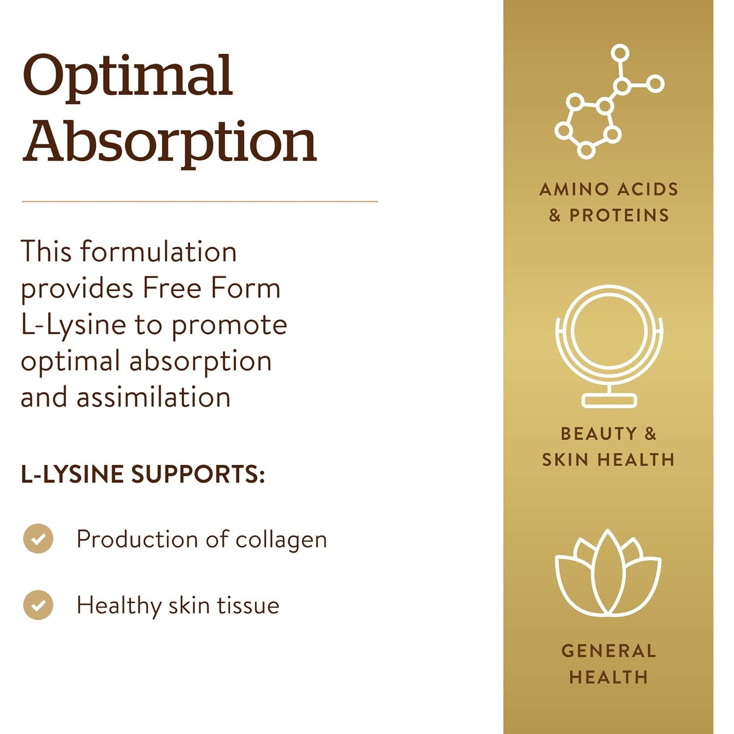 Solgar L-Lysine 500 Mg, 250 Vegetable Capsules - Enhanced Absorption & Assimilation - Promotes Integrity of Skin & Lips - Collagen Support - Amino Acids - Non-Gmo, Vegan, Gluten Free